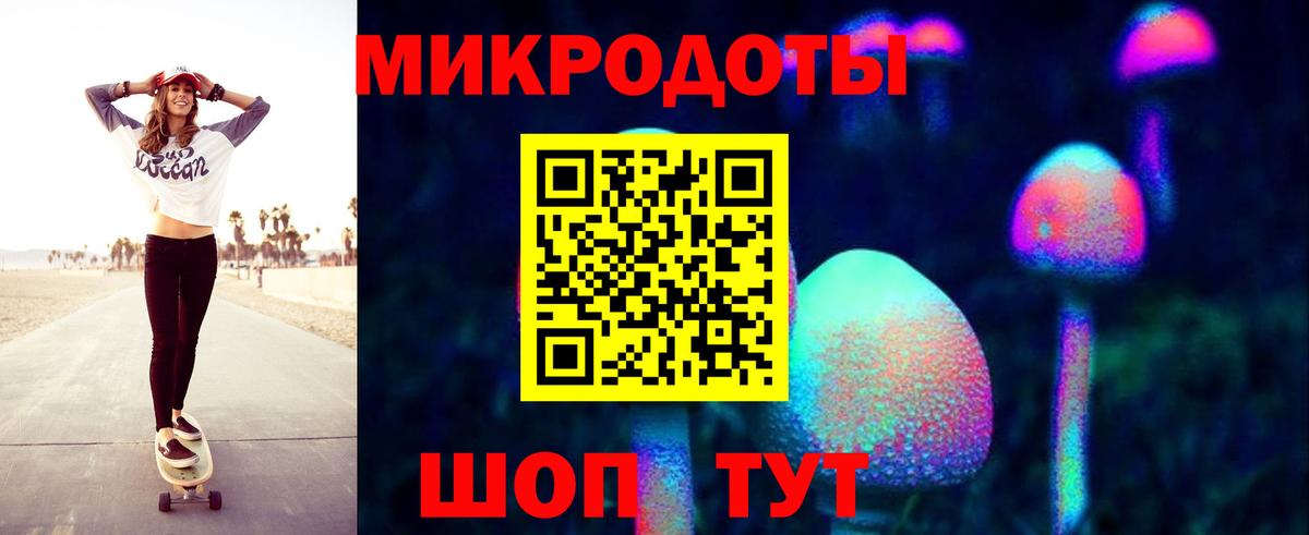 Галлюциногенные грибы Psilocybe Троицк
