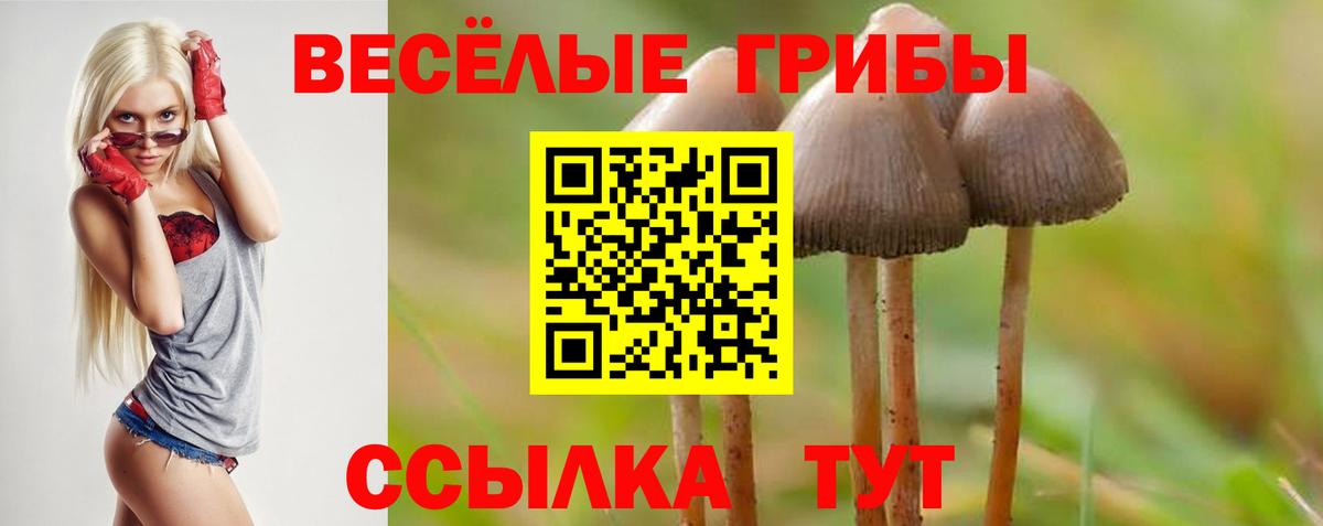 Галлюциногенные грибы Cubensis  Вход с VPN  Троицк 